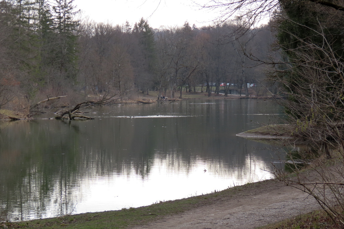 Bild 10 Hinterbrühler See