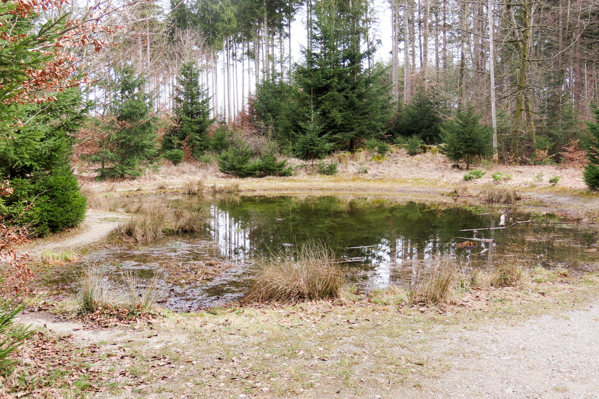 Bild 3 Lacke