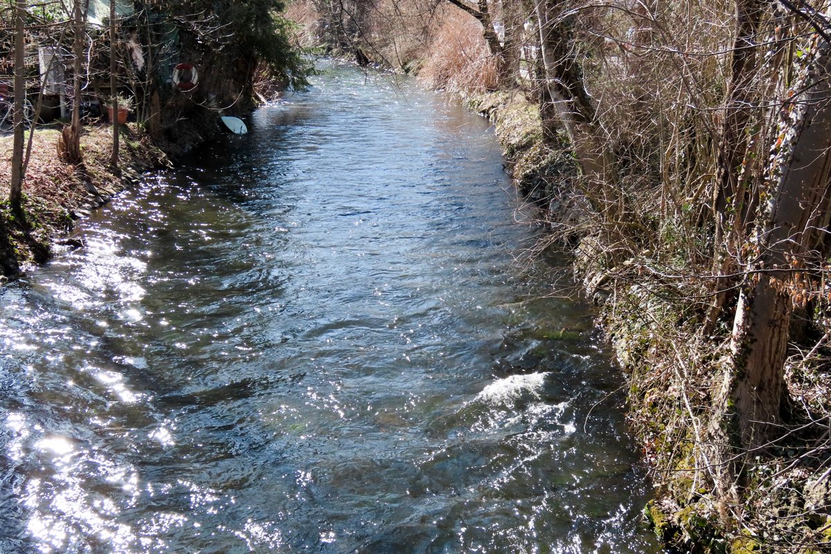 Bild 9 Würm