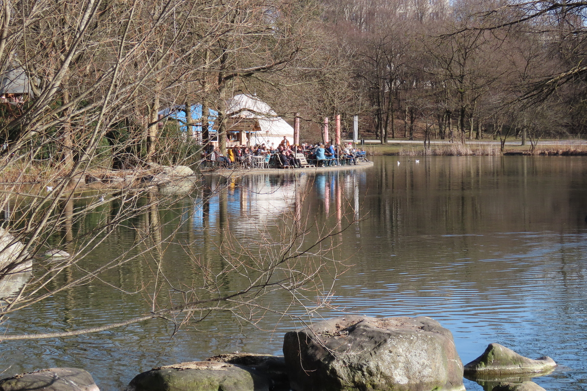Bild 13 Gans am Wasser