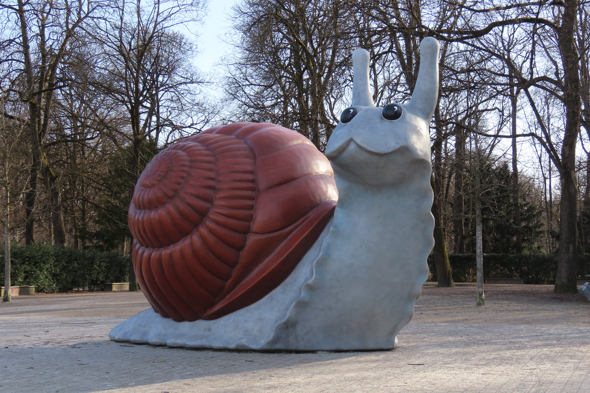 Bild 15 Schnecke